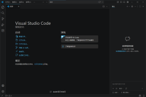 1. 为什么不用 IDE，而是用 VSCode + CMake-神乐网络